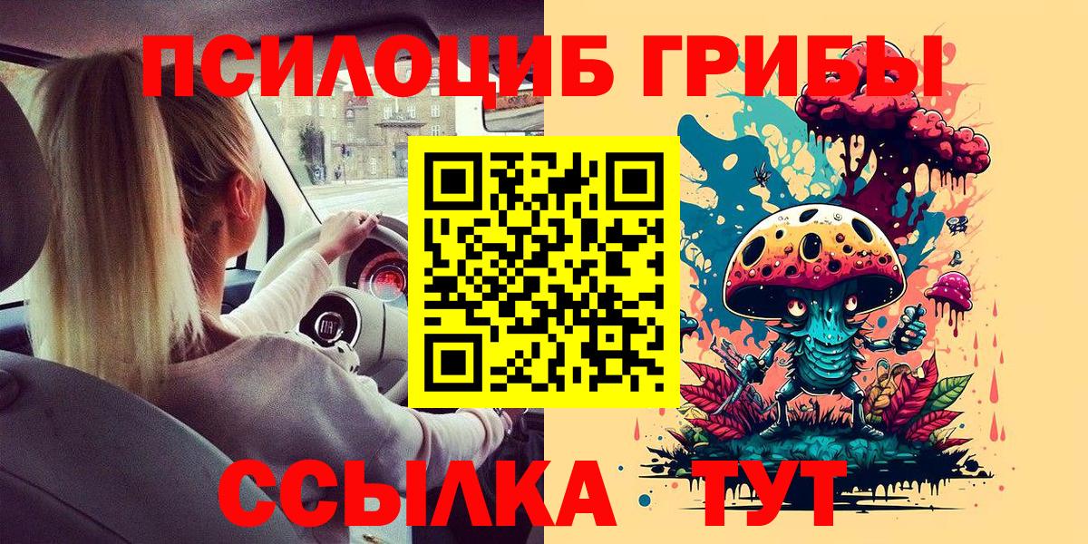Псилоцибиновые грибы мицелий Бор
